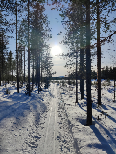 Aurinkoinen Kylävaaran 10 km latu