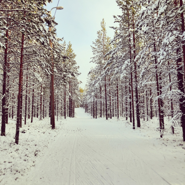 Kylävaaran valaistu latu