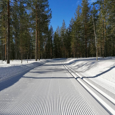 Juuri ajettu latu Ritavaara - Lupovaara -välillä