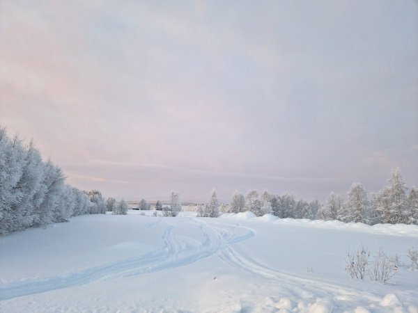 Talvinen kuva lumisista pelloista, joita halkoo moottorikelkanjälki.