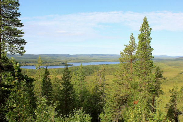 Kesäkuva Eeronpolun laavulta