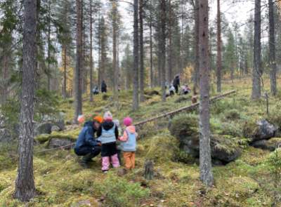 Vekkulit metsässä.