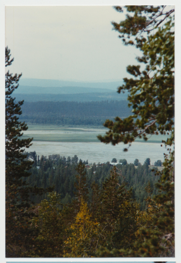 Pellojärvi Lupovaaralta