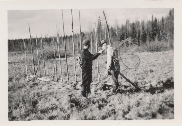 Kaksi miestä katiskoineen, 1950