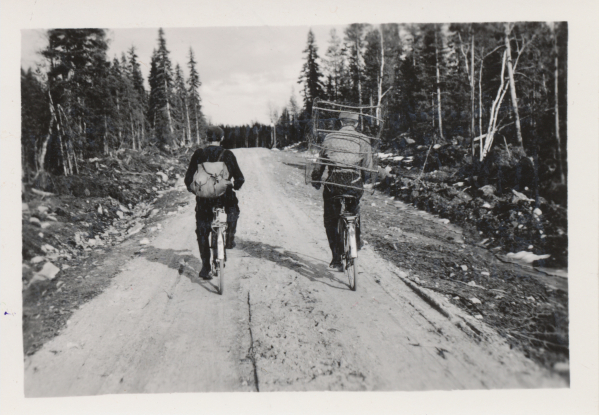 Kaksi miestä ajaa polkupyörällä katiska mukanaan, 1950