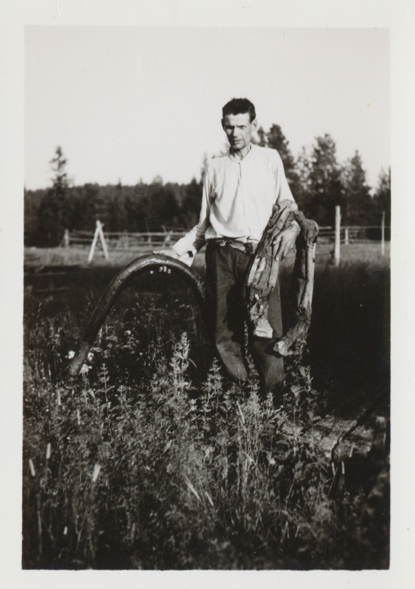Kataja Eemeli pihamaalla esittelee härän länkiä ja luokkia, 1957