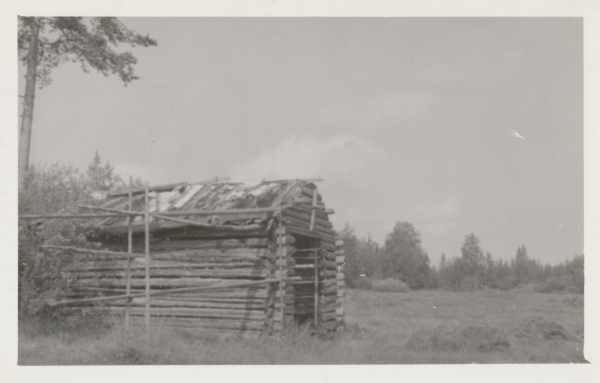 Heinätalo Säynäväjärvellä, 1954