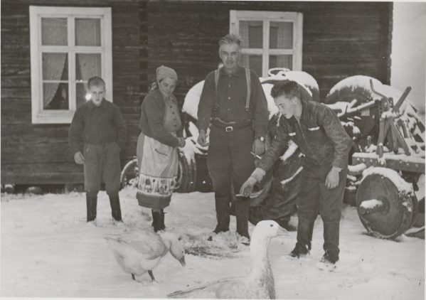 Porukkaa ruokkimassa hanhia