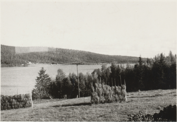 Puolamajärven peltoa, 25.08.1974