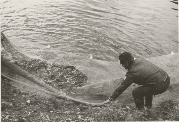 Alfred Ylisaukko-ojan kala-allas