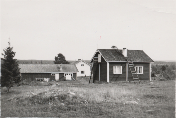 Valkoinen talo on Heikki Saukkoriipin, tumma Heikin vanhempien, nykyisin Puljujärven talo. n. 1960