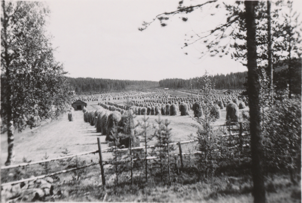 Lehmivaaran Kulovuoma, noin 1960