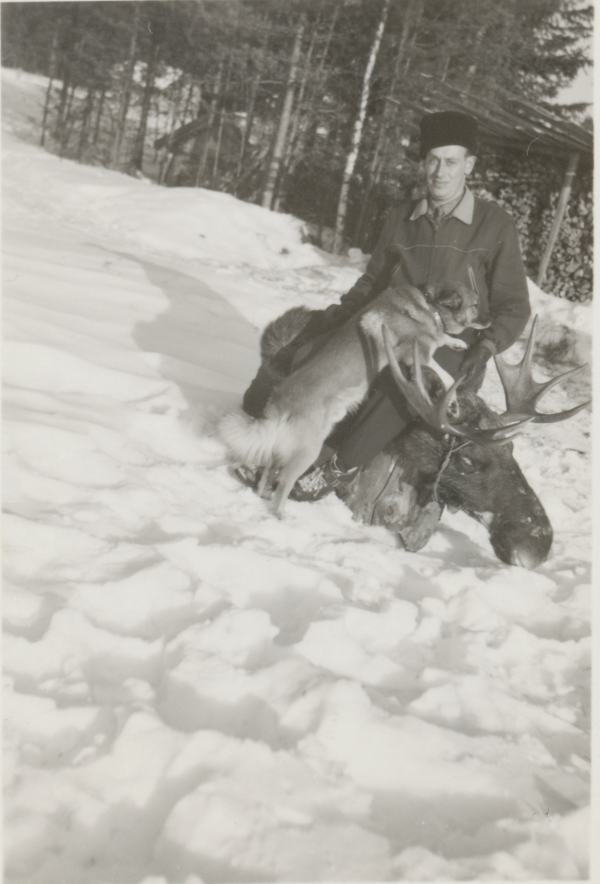 Väinö Mäkikyrö sekä kaadettu hirvi, noin 1940