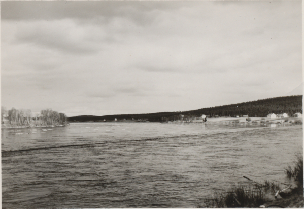 oik. Akseli Alasaukko-ojan talo, Väinö Alasaukko-ojan talo, Hilda Ylisaukko-ojan talo