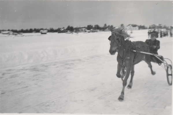 Ravikilpailut tornionjoen jäällä, noin 1960