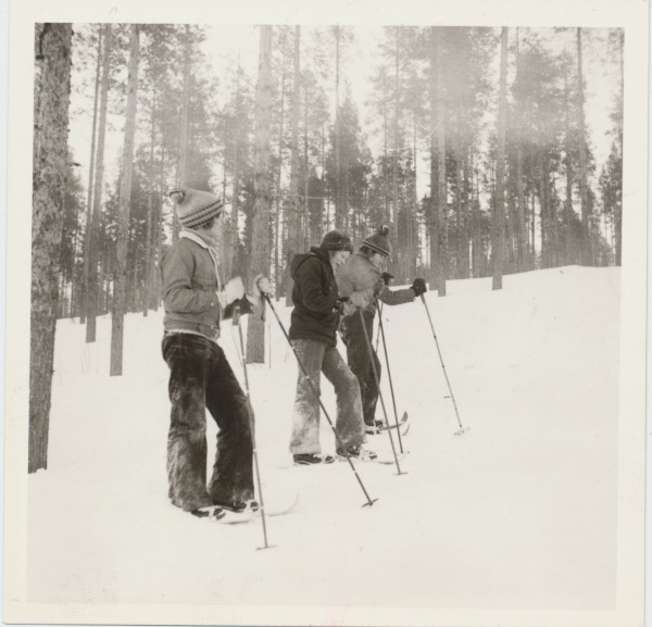 Kolme miestä hiihtää metsässä