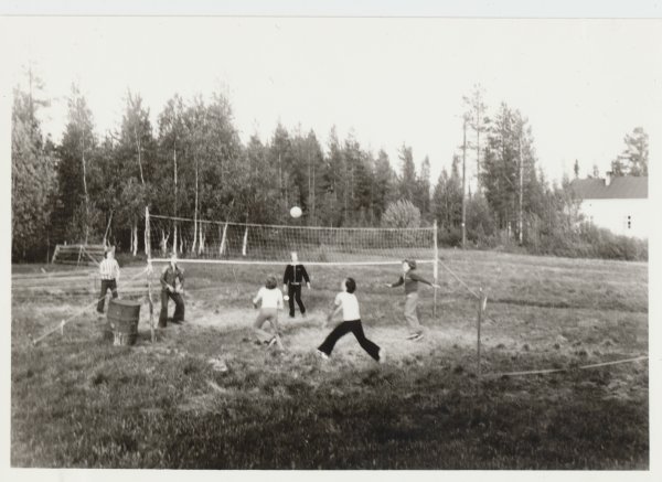 Pojat pelaavat lentopalloa