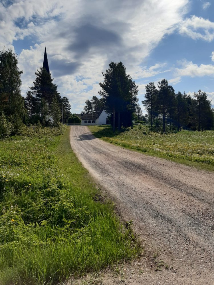 Kesäinen kuva Pellon kirkolle johtavalta tieltä.