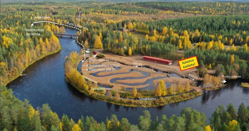Havainnekuva Rantavaaran kutupuroista.
